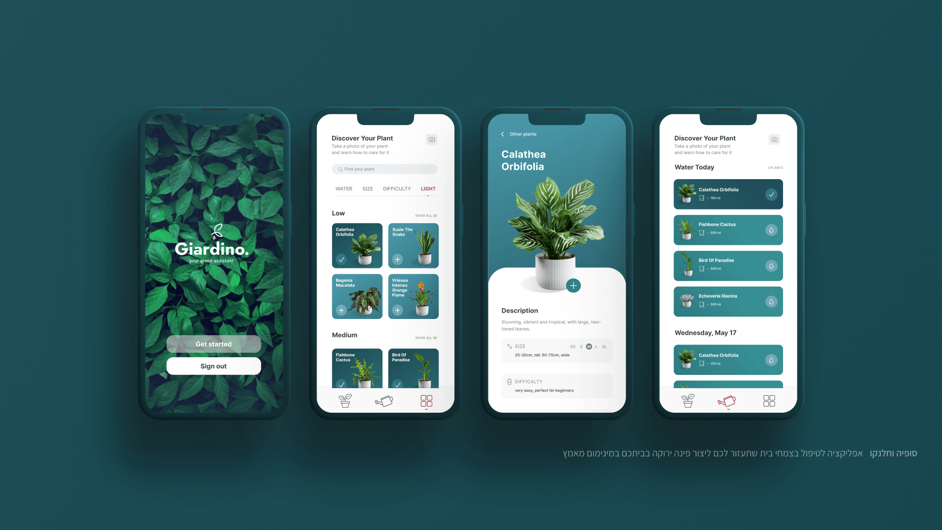 עיצוב אפליקציה